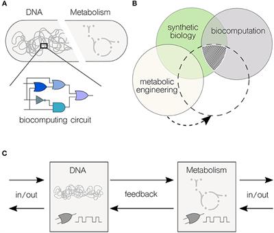 High-Performance <mark class="highlighted">Biocomputing</mark> in Synthetic Biology–Integrated Transcriptional and Metabolic Circuits